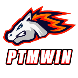 PTMWIN